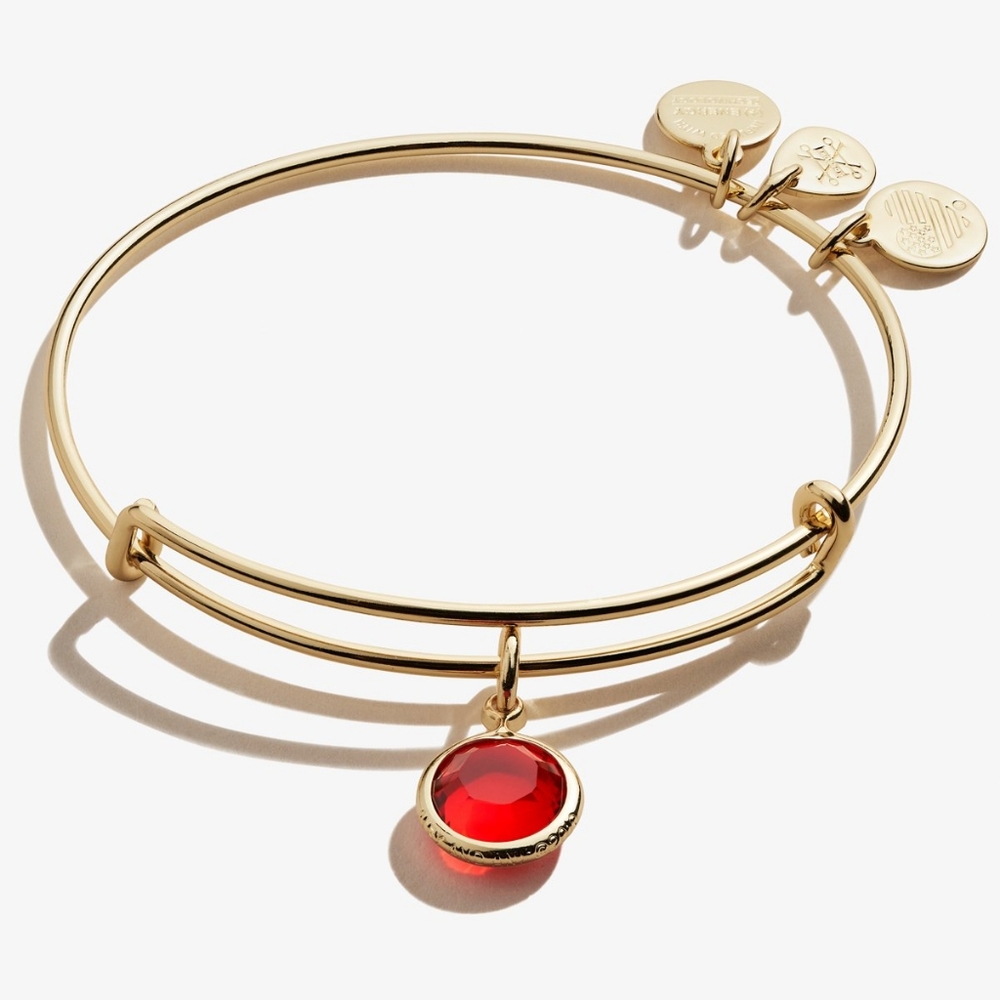 Alex & Ani ruby (July) birthstone bracelet